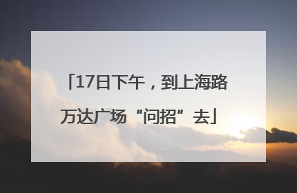 17日下午，到上海路万达广场“问招”去
